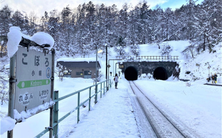 ◆小幌駅◆mini駅名標 【 ふるさと納税 人気 おすすめ ランキング 玩具 コレクション収集 ディスプレイ 電車 インテリア ギフト デザイン セット  北海道 豊浦町 送料無料 】 TYUO043