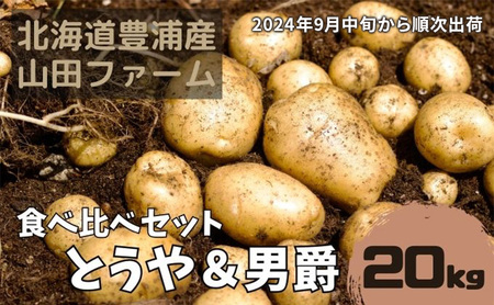 北海道 豊浦産 じゃがいも とうや 男爵 食べ比べ セット 20kg M-L