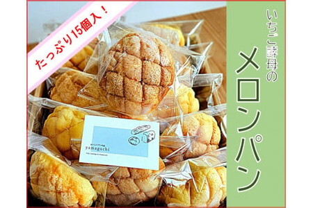 いちご酵母のメロンパン15個/いちご 冷凍パン 自家製