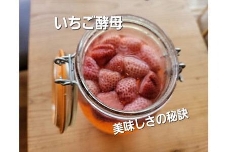 いちご酵母のメロンパン15個/いちご 冷凍パン 自家製