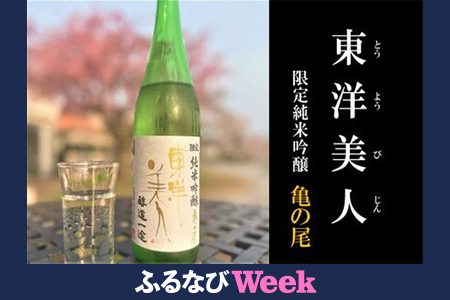 【ふるなびWEEK対象】東洋美人　限定純米吟醸　醇道一途　亀の尾/日本酒 お酒 清酒　FN-Limited-PR