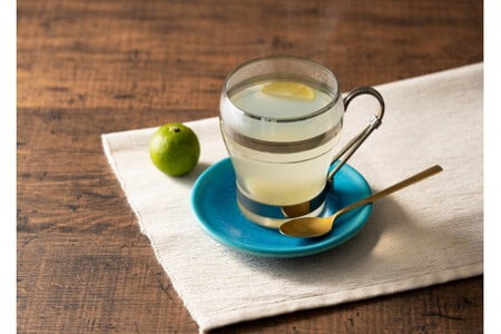 フレンチモンスター　徳島すだちネードベース　3本/レモネード シロップ