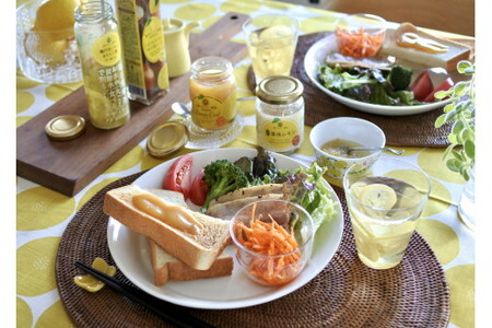 SL35 瀬戸内レモン農園調味料セット/詰合せ ソース