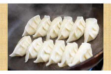 お米の皮がもちもち！本格手作り米粉源喜ぎょうざ12個入×4箱セット/餃子 詰合せ 米粉