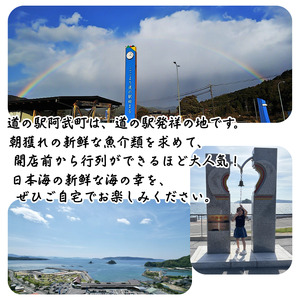 山口県 阿武町 道の駅 厳選 ！ 当日水揚げ 鮮魚 セット 約4～5kg 新鮮 豪華 旬 獲れたて 魚 さかな サザエ 海鮮