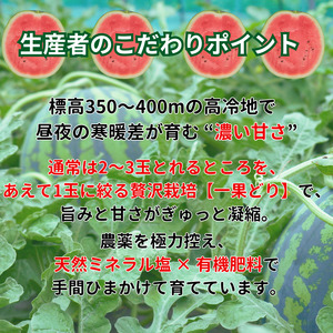 【先行予約】 福賀 すいか 秀大 約9〜10kg 圧巻の大玉&シャリシャリ食感 高糖度 山口県 阿武町産 1個(希少1株1玉栽培) 産地直送 【2026年7月上旬~順次発送予定】