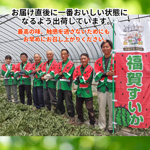 【先行予約】 福賀 すいか 秀大 約9〜10kg 圧巻の大玉&シャリシャリ食感 高糖度 山口県 阿武町産 1個(希少1株1玉栽培) 産地直送 【2026年7月上旬~順次発送予定】