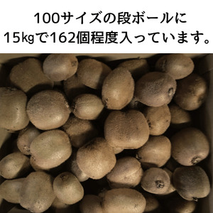 阿武町産 キウイ 訳ありヘイワード（15㎏）