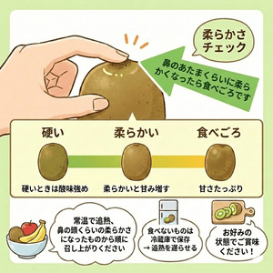 阿武町産 キウイ 訳ありヘイワード（15㎏）