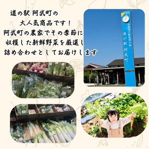 【 阿武町 野菜 詰め合わせ おまかせ 旬野菜 】 野菜セット 旬野菜 新鮮野菜 国産野菜 阿武町産 ご当地野菜 季節野菜 おいしい野菜 やさい 野菜 旬 新鮮 美味しい おいしい お任せ 道の駅 阿武町 山口県 お取り寄せ
