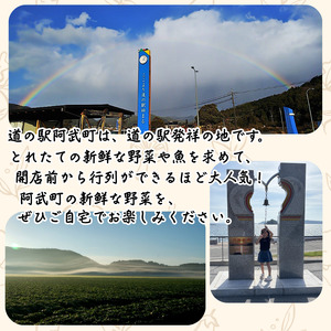 【 阿武町 野菜 詰め合わせ おまかせ 旬野菜 】 野菜セット 旬野菜 新鮮野菜 国産野菜 阿武町産 ご当地野菜 季節野菜 おいしい野菜 やさい 野菜 旬 新鮮 美味しい おいしい お任せ 道の駅 阿武町 山口県 お取り寄せ