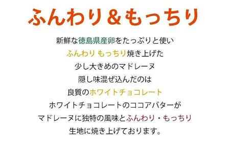 大きなマドレーヌ 12個