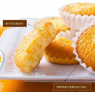 大きなマドレーヌ 12個