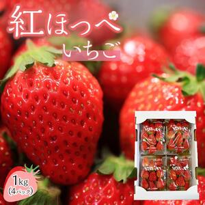 いちご (紅ほっぺ）約250g×4パック（約1kg）
