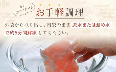 漬け丼 ねぎとろ丼 4種 計10食 (まぐろ漬け かつお漬け びんちょうまぐろ ネギトロ)海鮮丼