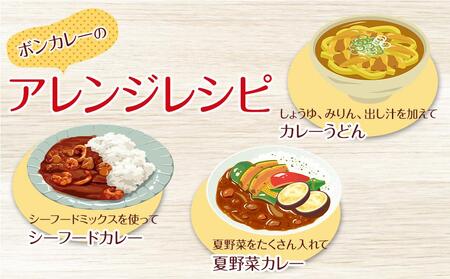 【隔月定期便 全3回】ボンカレーネオ 牛肉の旨み(中辛) 30個×3回 計90個