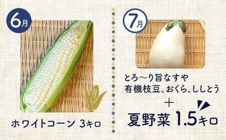 【12ヶ月定期便】野菜 くだもの 米（月替わりで毎月お届け）