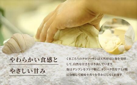 天然酵母 クロワッサン 8種類 計10個セット