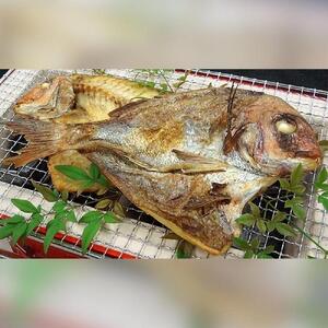 天然鳴門鯛 一夜干し(250g ×3枚)冷凍