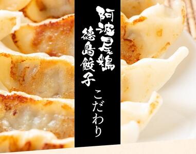 阿波尾鶏 徳島餃子96個入