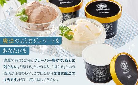 大人のジェラート10個 詰め合わせ (計1L)