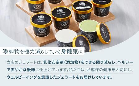 大人のジェラート10個 詰め合わせ (計1L)