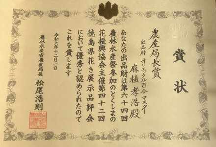 百合 マスター(ピンク)20輪