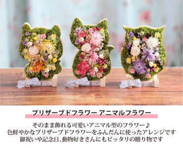 【ふくろう】アニマルフラワー