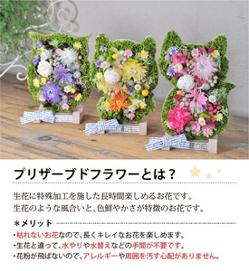 【ふくろう】アニマルフラワー