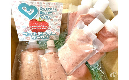 BUTTOBI BERRY COOL 有機いちごのフローズンスムージー1箱 (5個入)