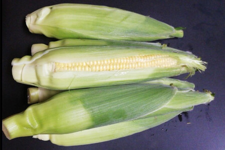 とうもろこし ゴールドラッシュ 4本