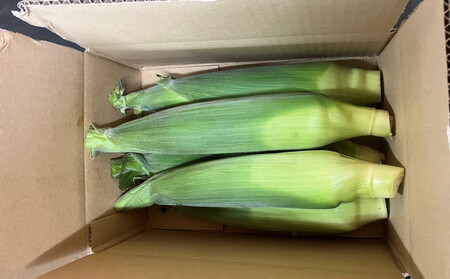 とうもろこし ゴールドラッシュ 5本