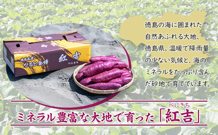 さつまいも なると金時 紅吉（べにきち）2kg  芋 いも