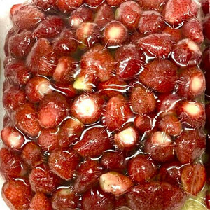 訳あり 冷凍 オーガニックいちご1kg 有機いちご 苺 さちのか