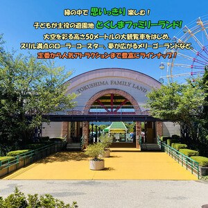とくしまファミリーランド　アトラクション　　回数券（40枚つづり） x 1冊