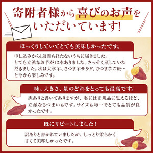訳あり さつまいも なると金時 甘姫  (約5kg）貯蔵  1週間以内に発送