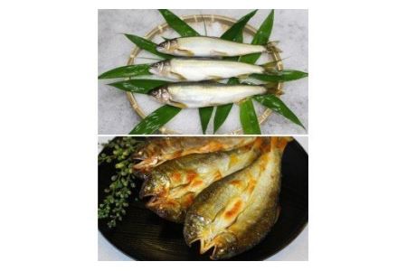 A009a 美味追求 すだち鮎(冷凍鮎 約12尾)・一夜干し(冷凍 5枚)セット