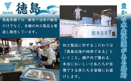 【漁獲量全国トップクラス!徳島産天然鱧】冷凍鱧かつ(5×2パック)