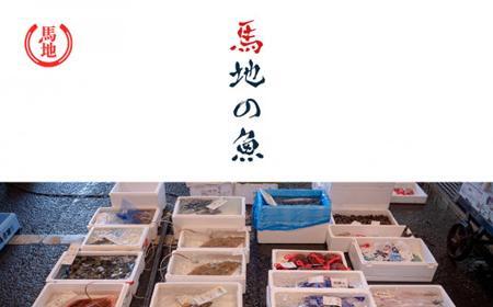 その日のセリの一番魚お届けBOX 2~3人前(下処理済み)