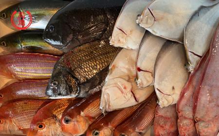 その日のセリの一番魚お届けBOX 4人前(下処理済み)