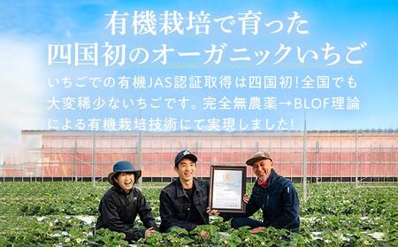 とくしまオーガニックいちご 大粒12～15粒(約380gx2) 2段箱｜イチゴ フルーツ 果物 苺 国産 有機いちご 贈答用