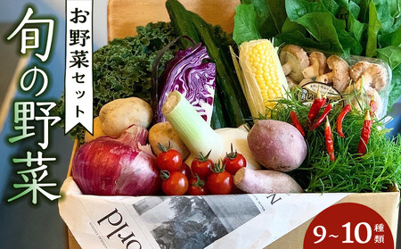 野菜セット 旬の野菜 (9~10種類)