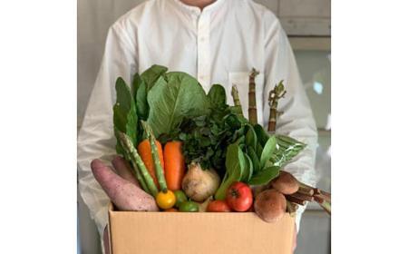 野菜セット 旬の野菜 (9~10種類)