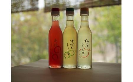 阿波遊山・和菓子職人のじゅうす【山桃】セット