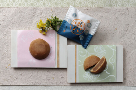 阿波銘菓撰 詰め合わせ 23個入 和菓子