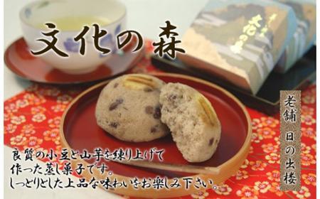 徳島銘菓 文化の森(ぶんかのもり)12個入
