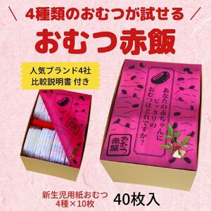 4種類のおむつが試せる「おむつ赤飯」！出産祝いギフトメッセージカード【無し】