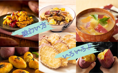 【木元農園】八代目の なると金時 約3kg | 鳴門金時 甘い ホクホク 熟成 産地直送 スイーツ おやつ 焼きいも 天ぷら 干し芋 スイートポテト 離乳食 さつまいも