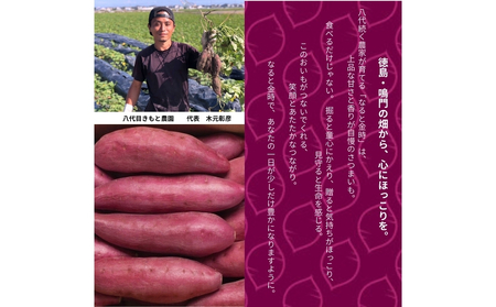 【木元農園】八代目の なると金時 約3kg | 鳴門金時 甘い ホクホク 熟成 産地直送 スイーツ おやつ 焼きいも 天ぷら 干し芋 スイートポテト 離乳食 さつまいも