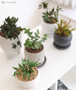 プリザーブドフラワー グリーンリーブス ユーカリ